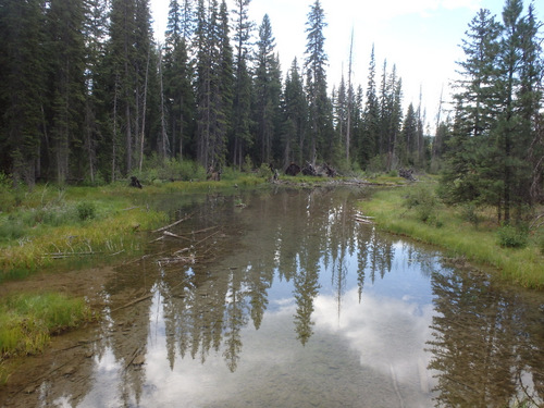 GDMBR: Upstream bridge crossing view.